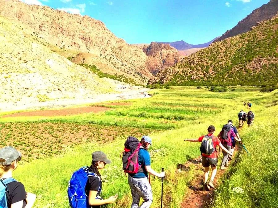 gallery-3 - HOTEL ATLAS DAY