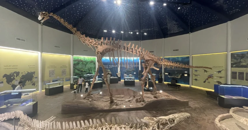 image_2026-03-19_183652888