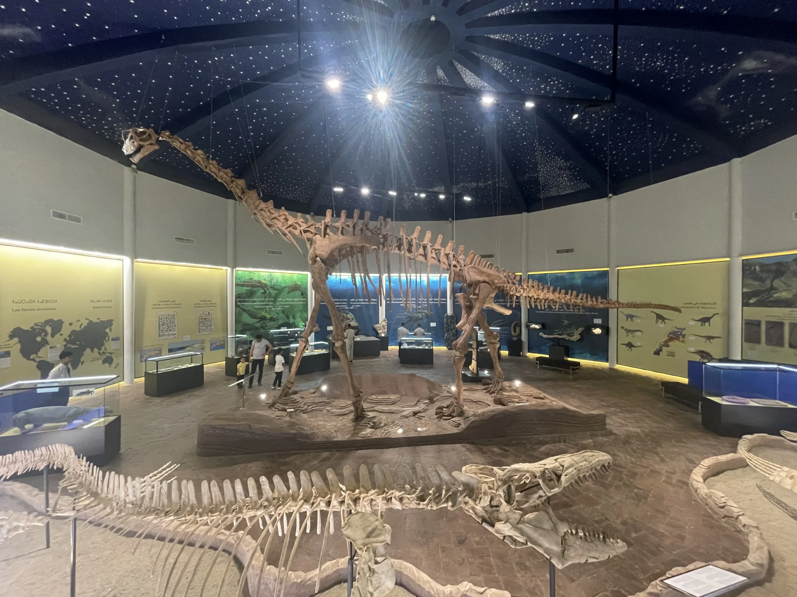 image_2026-03-19_183652888 - HOTEL ATLAS DAY