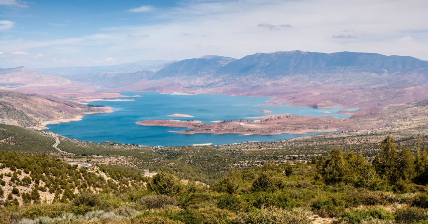 image_2026-03-19_203540197