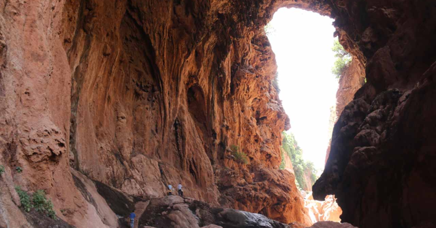 image_2026-03-19_203816742